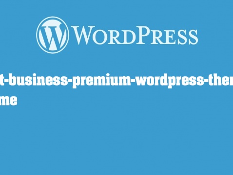 best-business-premium-wordpress-themes theme